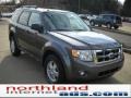 2010 Sterling Grey Metallic Ford Escape XLT 4WD  photo #15