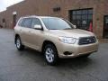 Sandy Beach Metallic - Highlander 4WD Photo No. 1