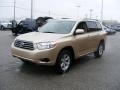 Sandy Beach Metallic - Highlander 4WD Photo No. 7