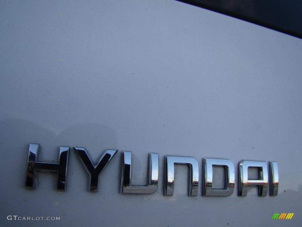 2004 Hyundai Santa Fe LX Marks and Logos Photo #41033780