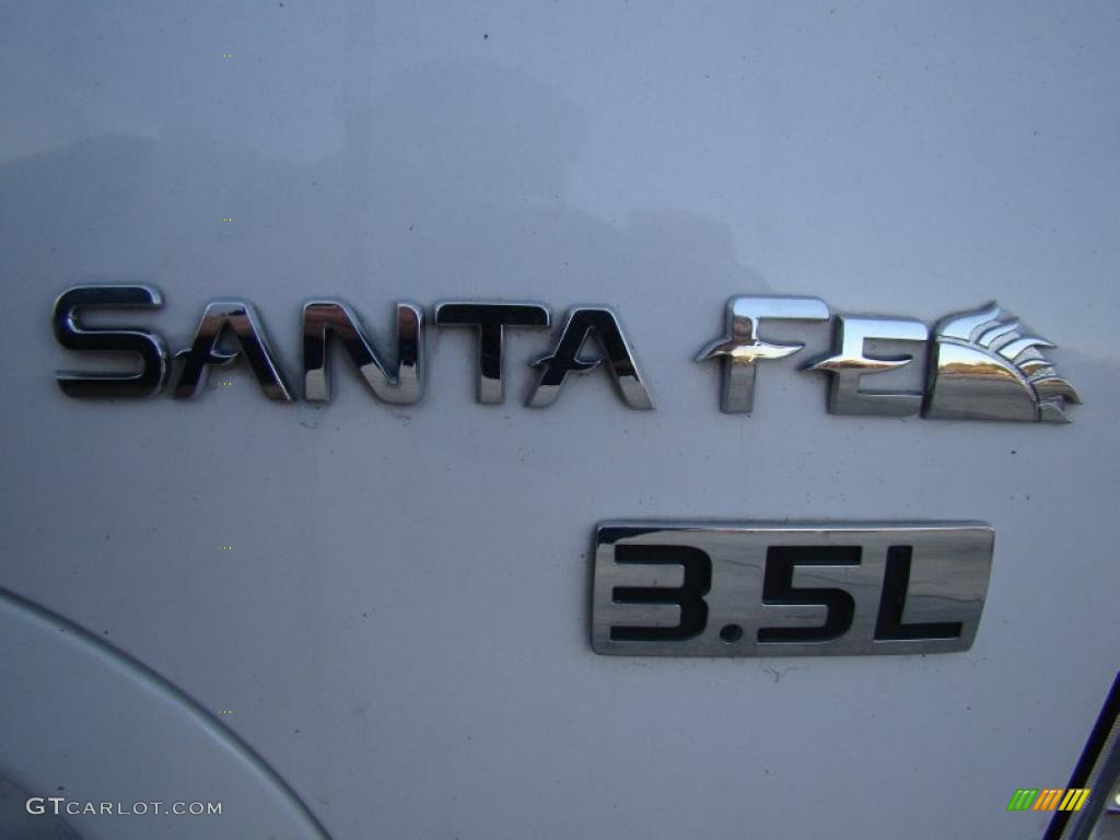 2004 Hyundai Santa Fe LX Marks and Logos Photo #41033796