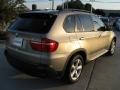 Platinum Bronze Metallic - X5 3.0si Photo No. 5