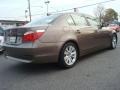 2004 Kalahari Beige Metallic BMW 5 Series 545i Sedan  photo #6