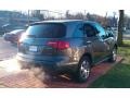 Nimbus Gray Metallic - MDX  Photo No. 5