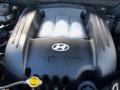 2006 Black Obsidian Hyundai Santa Fe GLS 4WD  photo #31