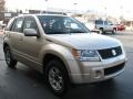 2008 Sandstorm Metallic Suzuki Grand Vitara   photo #4