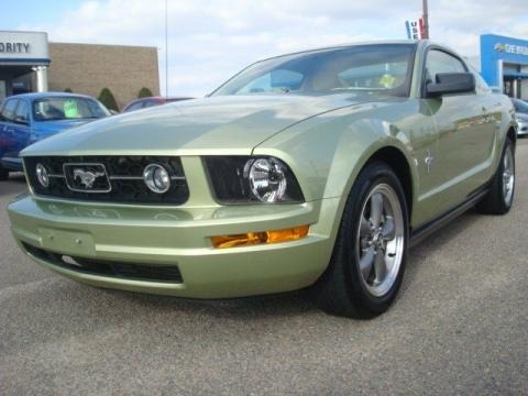 2006 Ford Mustang V6 Deluxe Coupe Data, Info and Specs