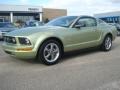 2006 Legend Lime Metallic Ford Mustang V6 Deluxe Coupe  photo #2