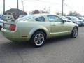 2006 Legend Lime Metallic Ford Mustang V6 Deluxe Coupe  photo #6