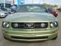 2006 Legend Lime Metallic Ford Mustang V6 Deluxe Coupe  photo #9