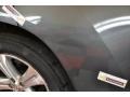 Magnetic Gray Metallic - Highlander Sport 4WD Photo No. 25