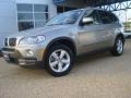 Platinum Bronze Metallic - X5 3.0si Photo No. 2