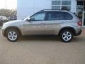 Platinum Bronze Metallic - X5 3.0si Photo No. 3
