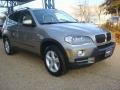 Platinum Bronze Metallic - X5 3.0si Photo No. 8