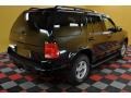 2002 Black Clearcoat Ford Explorer Limited 4x4  photo #4