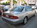 Cashmere Beige Metallic - ES 300 Photo No. 2