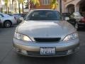 Cashmere Beige Metallic - ES 300 Photo No. 6