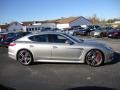 Platinum Silver Metallic - Panamera Turbo Photo No. 6