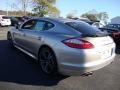 Platinum Silver Metallic - Panamera Turbo Photo No. 9