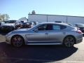 Platinum Silver Metallic - Panamera Turbo Photo No. 10