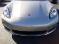 Platinum Silver Metallic - Panamera Turbo Photo No. 28