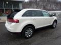 2008 Creme Brulee Metallic Lincoln MKX AWD  photo #3