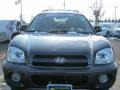 Steel Blue - Santa Fe GLS 4WD Photo No. 16
