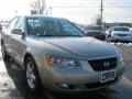 2006 Golden Beige Hyundai Sonata LX V6  photo #18