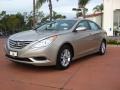 2011 Camel Pearl Hyundai Sonata GLS  photo #1