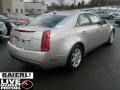 Light Platinum - CTS 4 AWD Sedan Photo No. 6