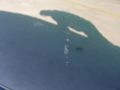 2000 Dark Emerald Pearl Honda Accord EX V6 Sedan  photo #29