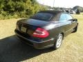 Black - CLK 500 Cabriolet Photo No. 10