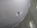 Brilliant Silver Metallic - Taurus Limited Photo No. 17