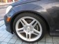 2009 Mercedes-Benz C 300 Sport Wheel and Tire Photo