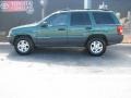 1999 Everglade Green Pearl Jeep Grand Cherokee Laredo  photo #1