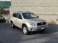 2007 Savannah Metallic Toyota RAV4 4WD  photo #1