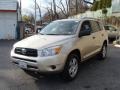 2007 Savannah Metallic Toyota RAV4 4WD  photo #3
