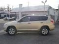 2007 Savannah Metallic Toyota RAV4 4WD  photo #4