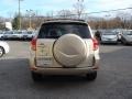 2007 Savannah Metallic Toyota RAV4 4WD  photo #6