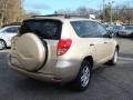 2007 Savannah Metallic Toyota RAV4 4WD  photo #7