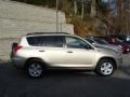 2007 Savannah Metallic Toyota RAV4 4WD  photo #8