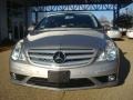 Pewter Metallic - R 350 4Matic Photo No. 8