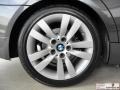 2007 Sparkling Graphite Metallic BMW 3 Series 328i Sedan  photo #29