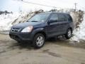 2004 Eternal Blue Pearl Honda CR-V EX 4WD  photo #9