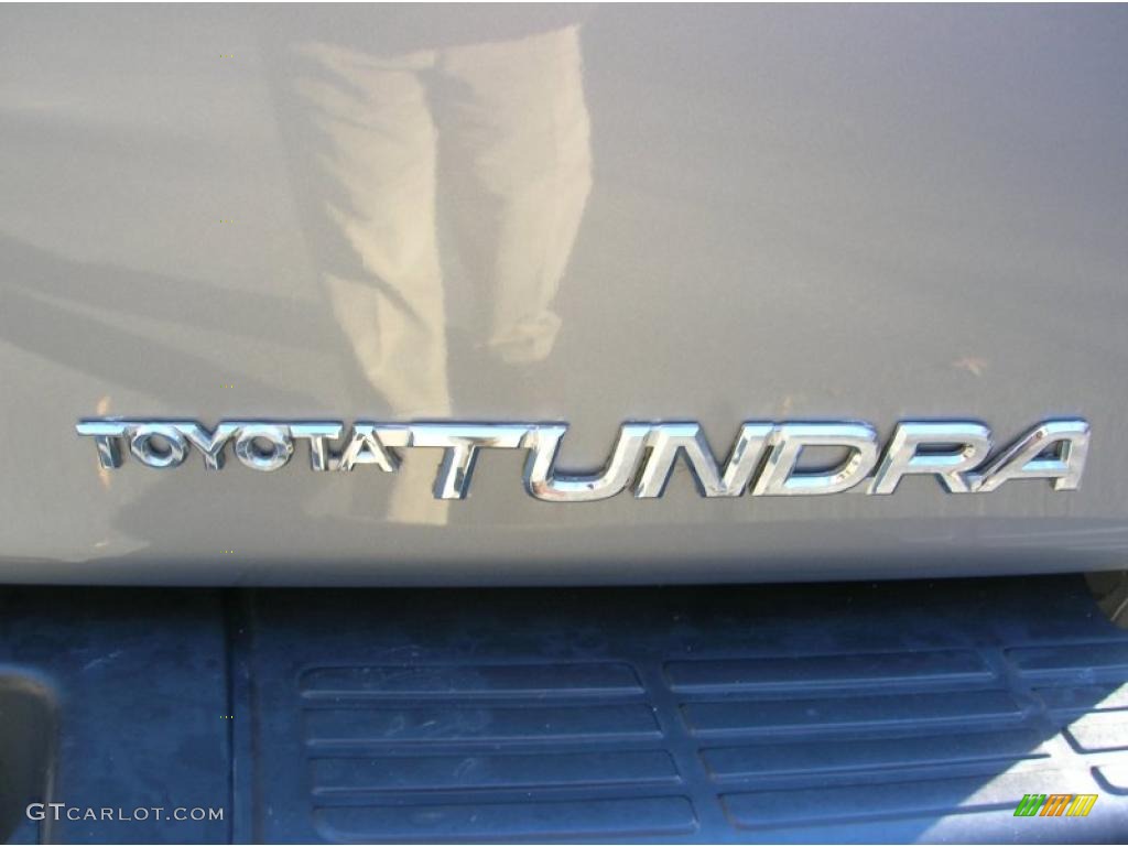 2003 Tundra SR5 Access Cab - Silver Sky Metallic / Light Charcoal photo #11