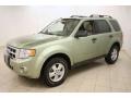 Kiwi Green Metallic - Escape XLT V6 4WD Photo No. 3