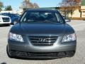 Willow Gray - Sonata GLS Photo No. 7