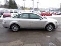 Silver Birch Metallic 2008 Ford Taurus SEL AWD Exterior