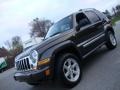 2005 Dark Khaki Pearl Jeep Liberty Limited 4x4  photo #1