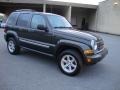 2005 Dark Khaki Pearl Jeep Liberty Limited 4x4  photo #6